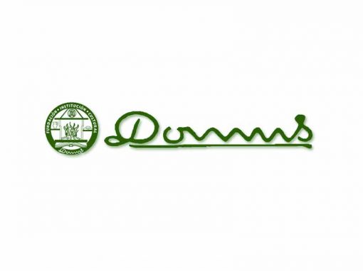 Colegio Domus – Asesoría y Plan de comunicación y marketing